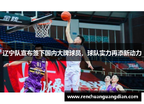辽宁队宣布签下国内大牌球员，球队实力再添新动力